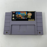 SNES Donkey Kong Country 3
