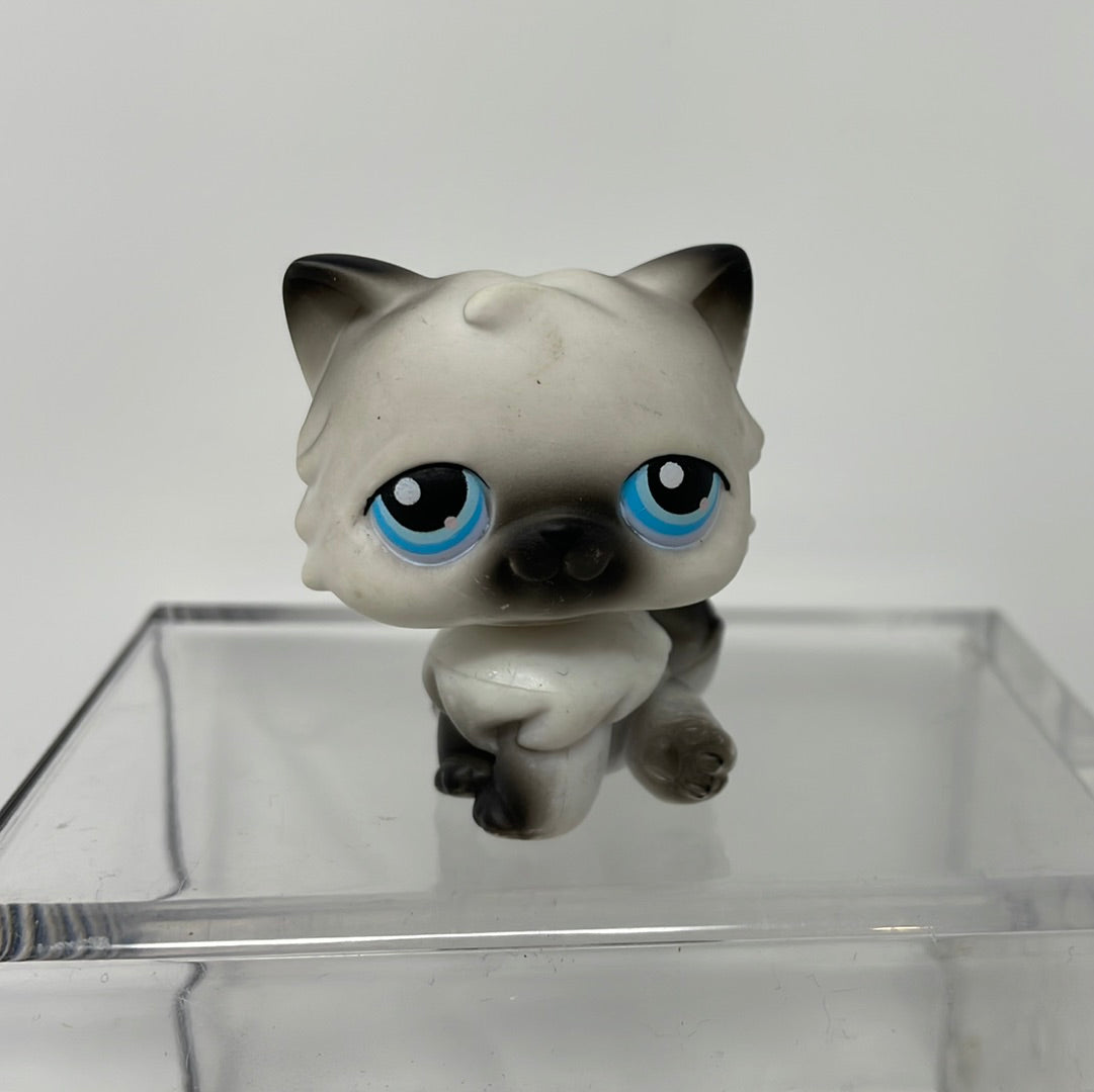 Pudsigt Normalisering Uganda Littlest Pet Shop LPS #60 Persian Cat Kitty Black White Blue Dot Eyes –  shophobbymall