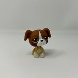 Littlest Pet Shop Authentic # 25 Brown White Boxer Brown Eyes Dog Puppy