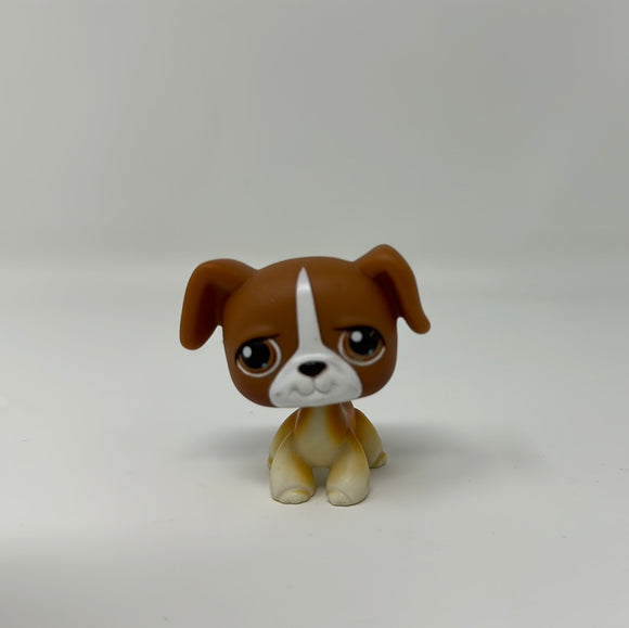 Littlest Pet Shop BOXER Puppy Dog #25 White Brown Eyes Retired Rare LPS