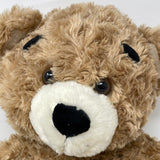2013 Build A Bear Bearemy Big Head Plush Bear With Big Eyebrows 16” Stuffed Toy