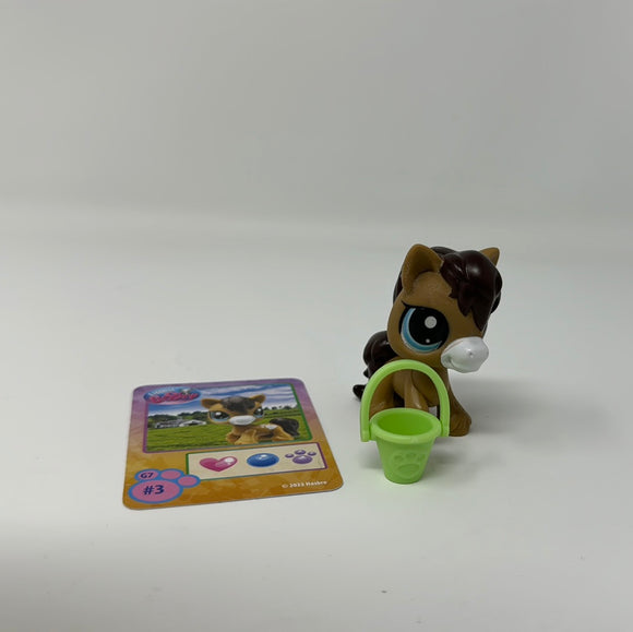 Littlest Pet Shop Series 1 G7 Collectible Figures 2024 #3 Horse