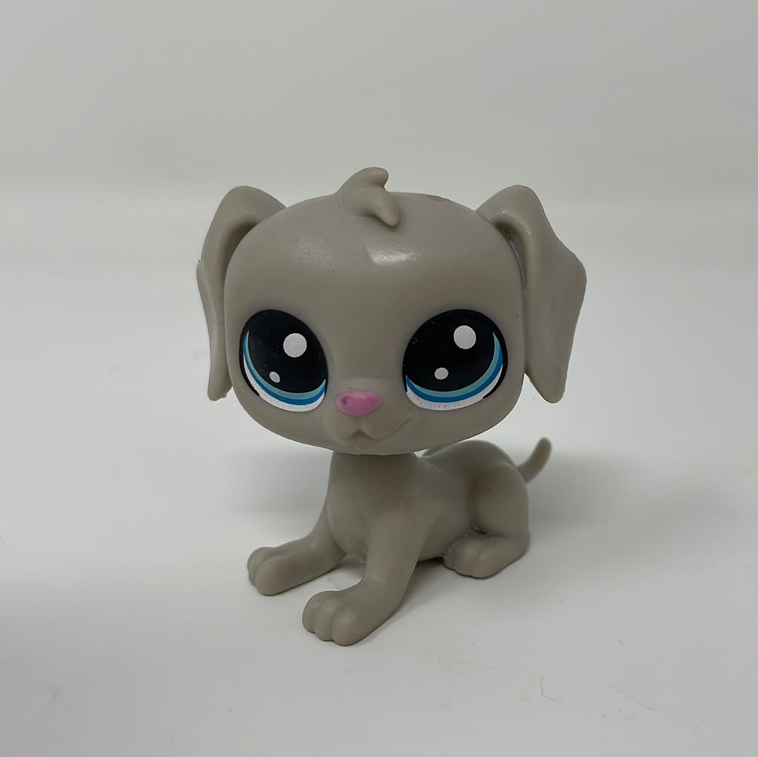 Figurine Littlest Pet Shop #1006 - Chien Schnauzer Velours Gris, Hasbro, Comme Neuf