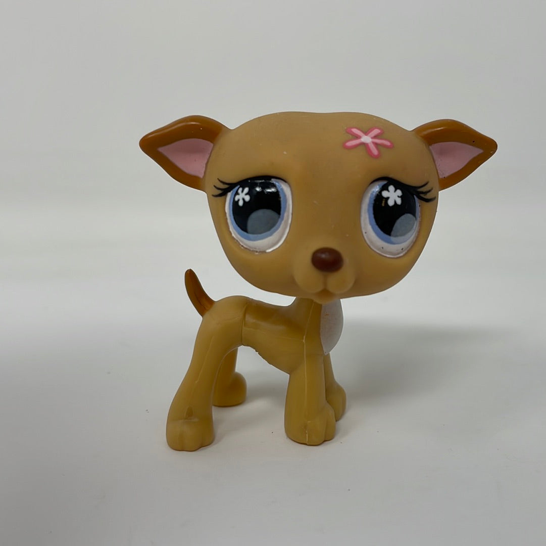 Littlest Pet Shop LPS 498 Greyhound Dog Purple Flower Eyes shophobbymall