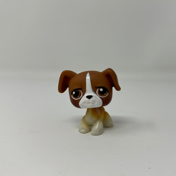 Littlest Pet Shop Authentic # 25 Brown White Boxer Brown Eyes Dog Puppy