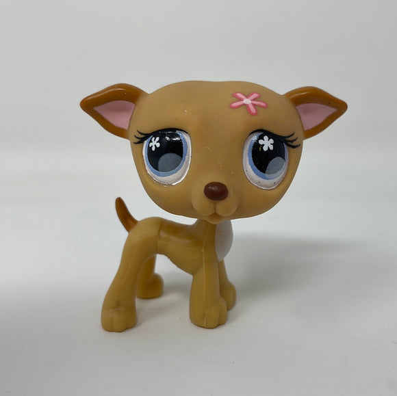Littlest Pet Shop LPS #498 Greyhound Dog Purple Flower Eyes