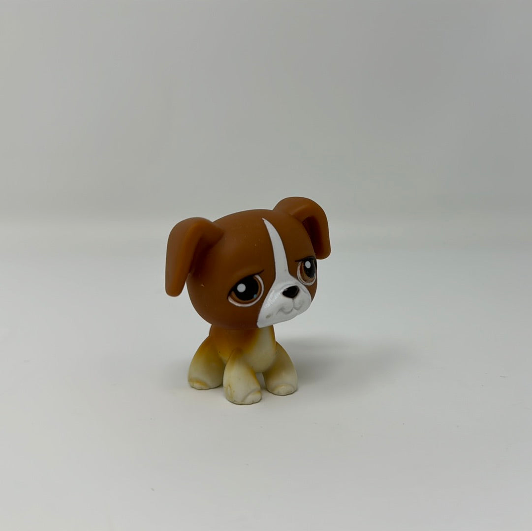 Littlest Pet Shop BOXER Puppy Dog #25 White Brown Eyes Retired Rare LP ...