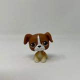 Littlest Pet Shop BOXER Puppy Dog #25 White Brown Eyes Retired Rare LPS