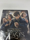 DVD Fantastic Beasts And Where To Find Them New