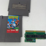 NES Tecmo Cup Soccer Game