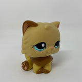 Littlest Pet Shop # 1673 Persian Cat Tan Brown Pink Blue Eyes Hasbro Lps