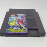 NES Battletoads & Double Dragon