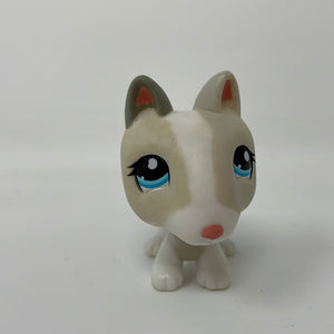 Littlest Pet Shop Bull Terrier #1665 Blue Eyes Dog Authentic LPS Rare