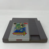 NES Castlevania (5 Screw)
