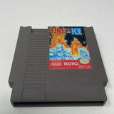 NES Fire ‘n Ice: Solomon's Key 2