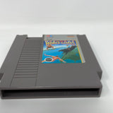 NES World Games