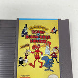 NES The Adventures of Rocky and Bullwinkle and Friends