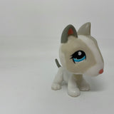 Littlest Pet Shop Bull Terrier #1665 Blue Eyes Dog Authentic LPS Rare