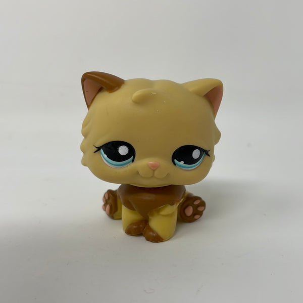 Littlest Pet Shop 1673 Persian Cat Tan Brown Pink Blue Eyes Hasbro L shophobbymall