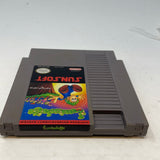 NES Lemmings