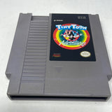 NES Tiny Toon Adventures