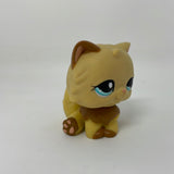 Littlest Pet Shop # 1673 Persian Cat Tan Brown Pink Blue Eyes Hasbro Lps