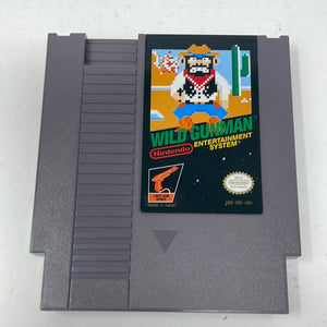 NES Wild Gunman