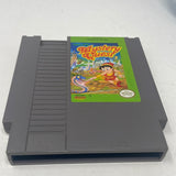 NES Mystery Quest