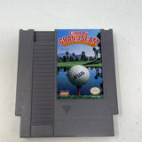 NES Golf Grand Slam