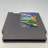 NES Adventure Island III 3