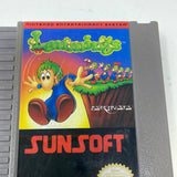 NES Lemmings