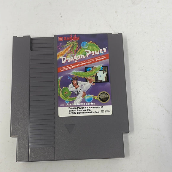 NES Dragon Power