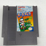 NES Dig Dug II 2
