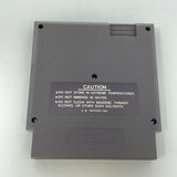 NES Lode Runner (5 Screw)