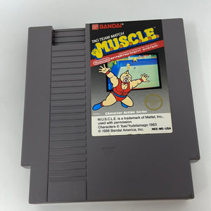 NES Tag Team Match: M.U.S.C.L.E. (5 Screw)