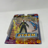 Marvel Hall of Fame She Force-Storm X-Men Figure NIB