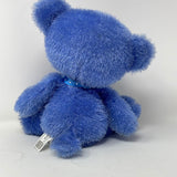 Blue Stuffed Teddy Bear Kings Island