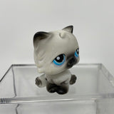 Littlest Pet Shop LPS #60 Persian Cat Kitty Black White Blue Dot Eyes