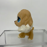 Rare Littlest pet shop #748 Brown Cocker Spaniel Dog Flower Eyes Animal LPS Toy