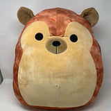 Hans Hedgehog 16 in. Squishmallow Walgreens Exclusive 5 Year Anniversary Collector’s  Edition