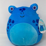 Squishmallow ALANDY 8” Blue Frog Learning Express Exclusive! HTF! NWT