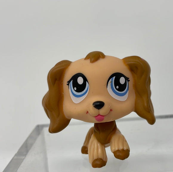 Cocker Spaniel Dog #1318 Littlest Pet Shop Hasbro LPS