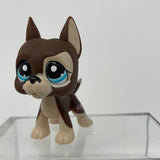 LPS Littlest Pet Shop 817 Great Dane Dog Brown and Tan Teal Dot Eyes Hasbro