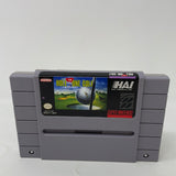 SNES Hole In One Golf