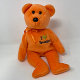 Ty I LOVE TENNESSEE the BEAR Beanie Baby Plush Stuffed Animal Toy