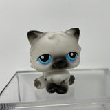 Littlest Pet Shop LPS #60 Persian Cat Kitty Black White Blue Dot Eyes