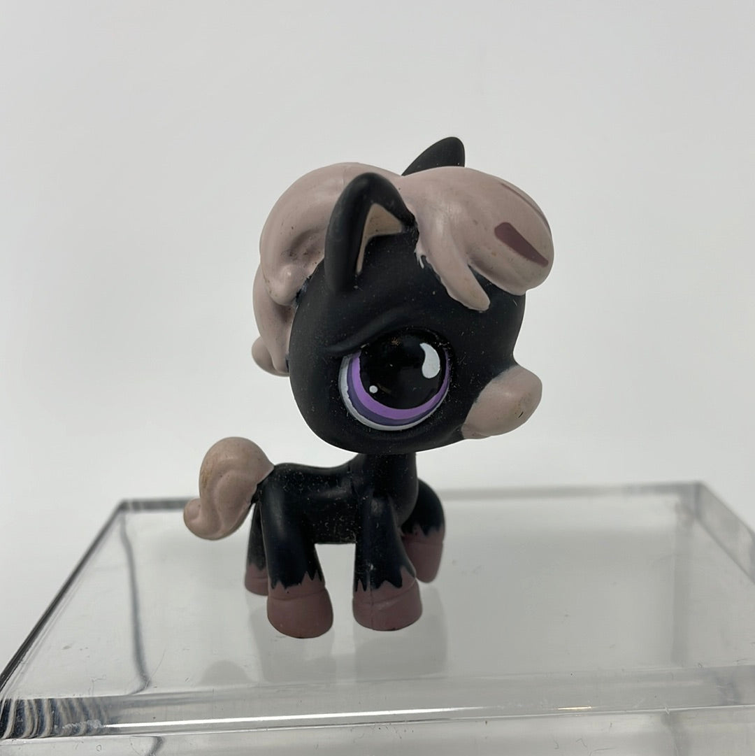 Mlp Pony Pet Shop Littlest Pet Shop LPS 523 Black Gray Horse W