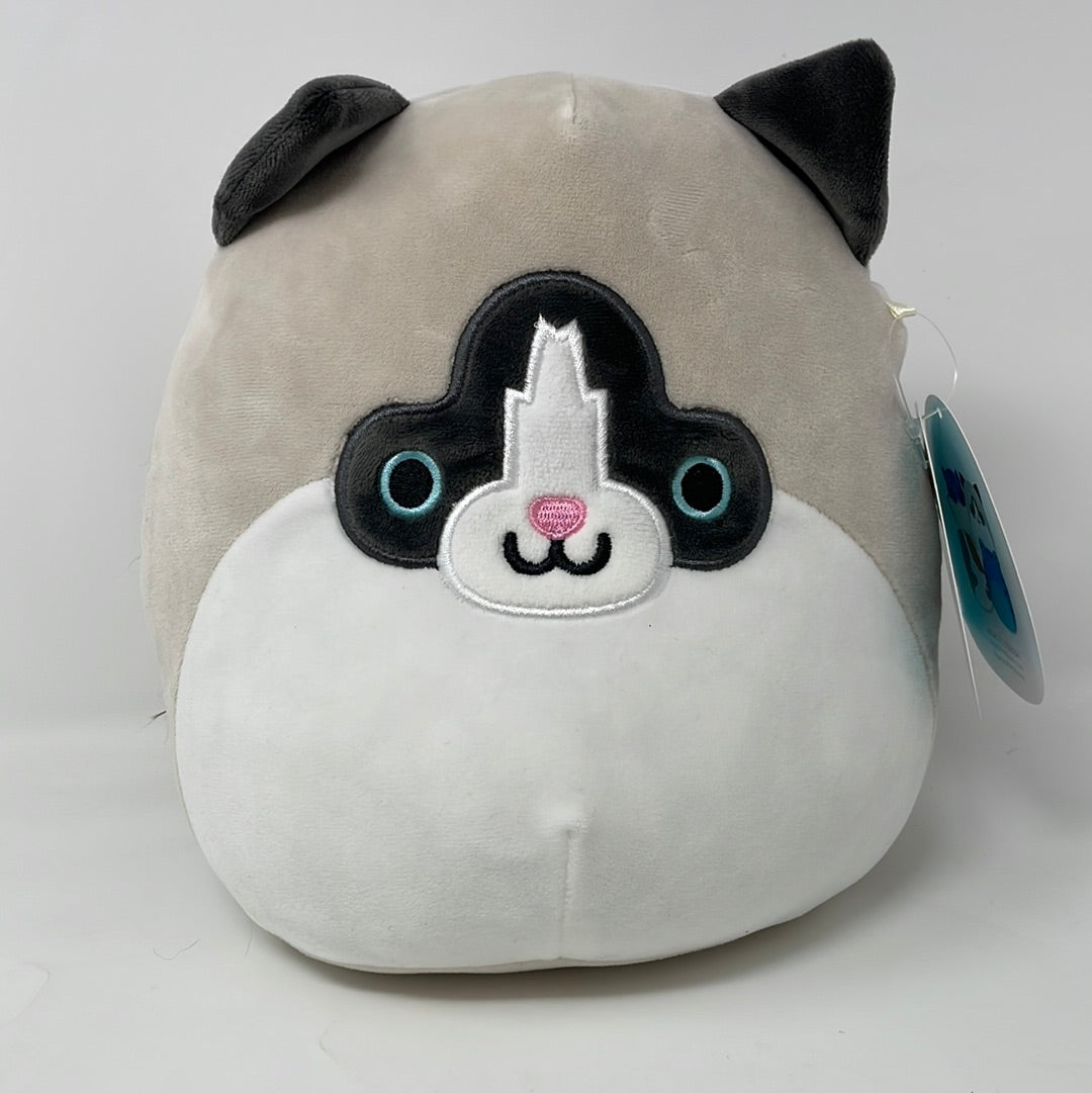 Squishmallow cat retailer rare