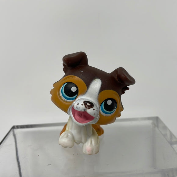 LPS Littlest Pet Shop 237 Collie Dog Brown and White Blue Dot Eyes Hasbro