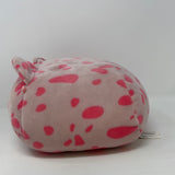 Squishmallows LEOPARD LORIE 9x6x8 Pink Kellytoy Stackable RARE